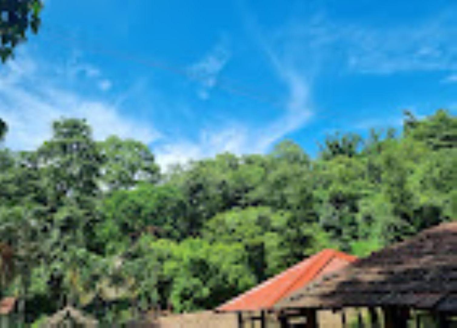 Brahmaputra Jungle Resort Guwahati Exterior foto