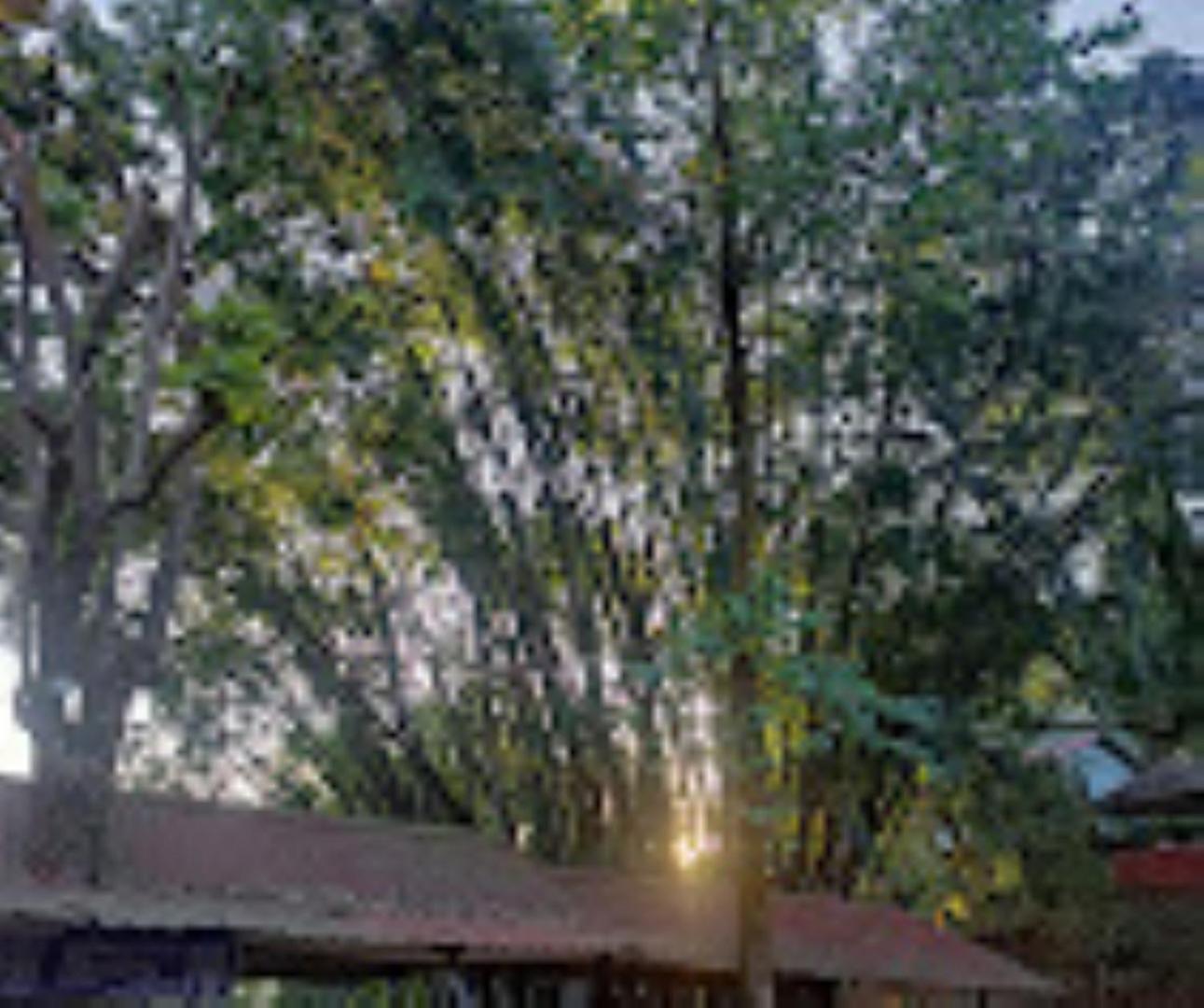 Brahmaputra Jungle Resort Guwahati Exterior foto