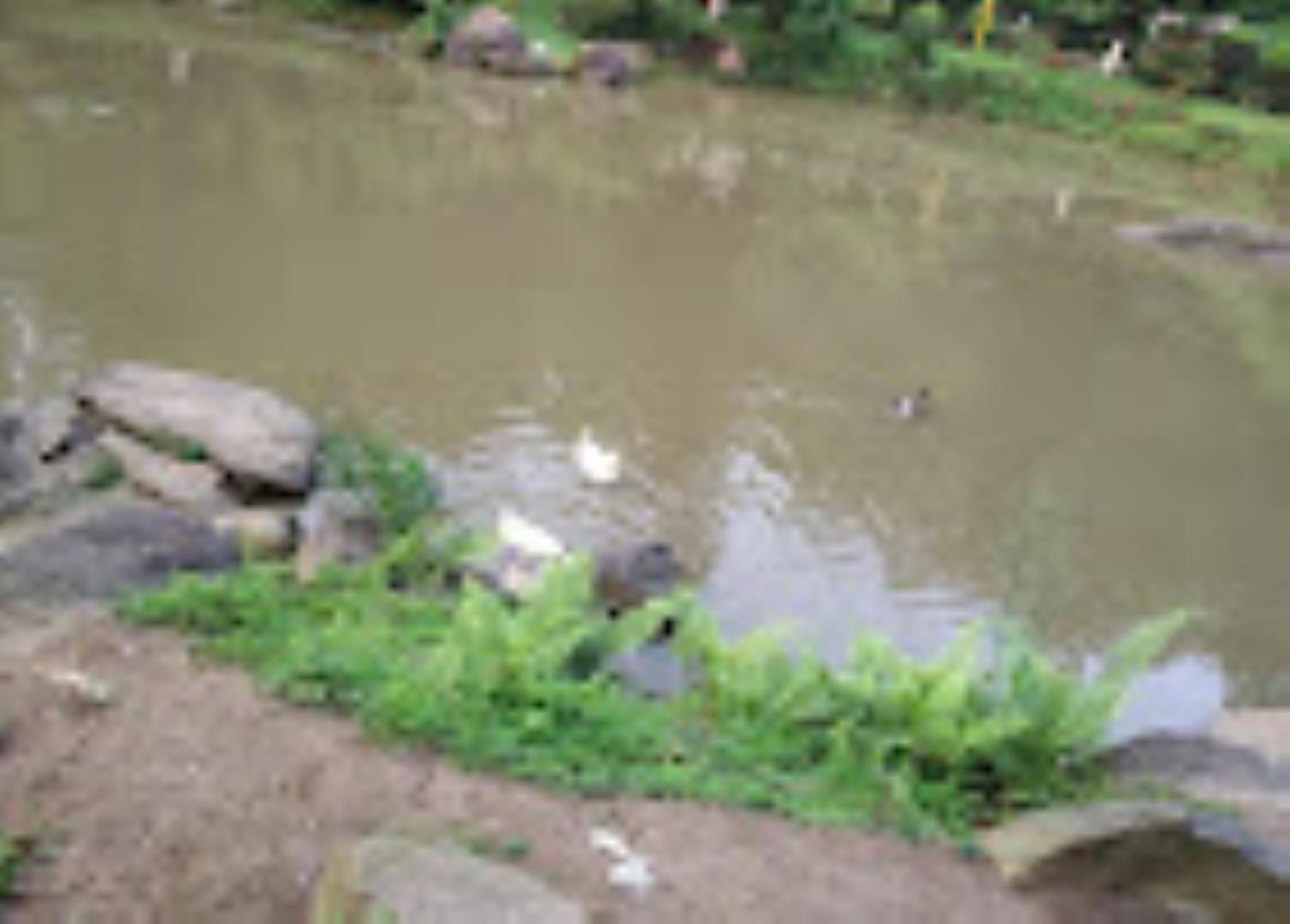 Brahmaputra Jungle Resort Guwahati Exterior foto